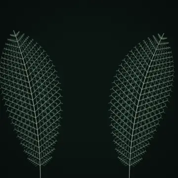 잎맥을 코드로 그린 미디어아트 화면